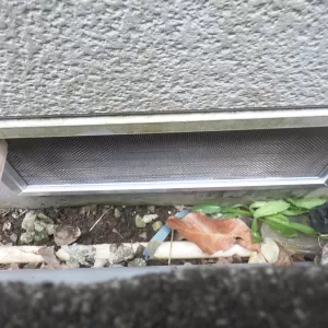 横須賀市内　Ｈ 様邸　ネズミ駆除施工のサムネイル